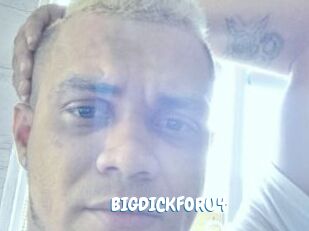 BIGDICKFORU4