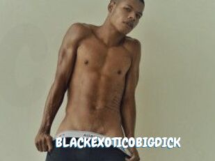 BLACKEXOTICOBIGDICK Coquine Avenue