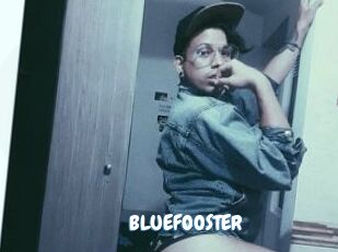 BLUEFOOSTER