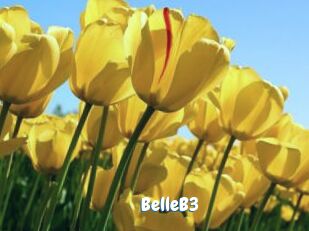 BelleB3 Coquine Avenue