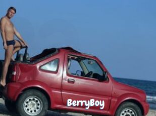 BerryBoy