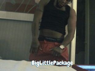 BigLittlePackage
