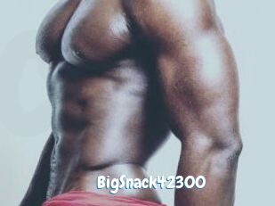 BigSnack42300