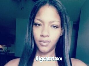 Bigcatstaxx