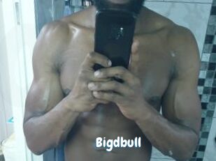 Bigdbull