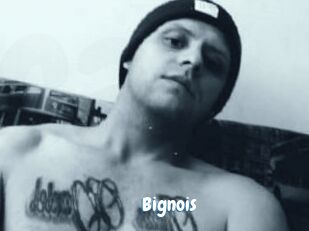 Bignois