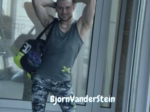 BjornVanderStein
