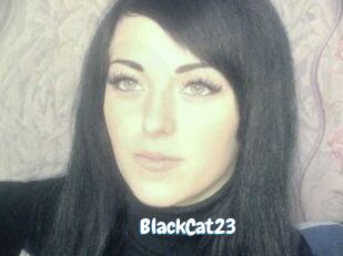 BlackCat23
