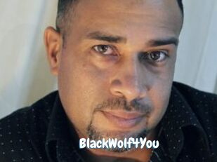 BlackWolf4You