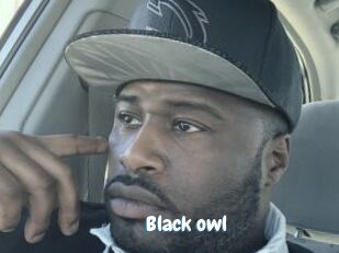 Black_owl