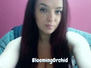 BloomingOrchid