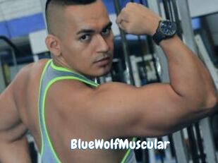 BlueWolfMuscular