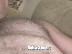 Bobsistheone