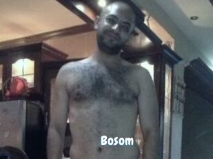 Bosom