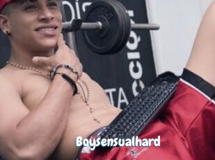 Boysensualhard