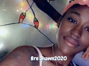 Bre_Shawn2020