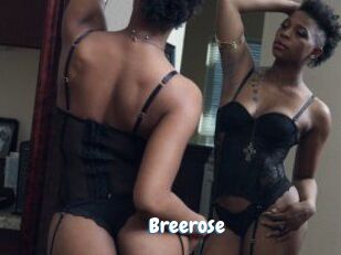 Breerose