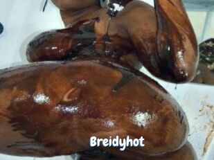 Breidyhot