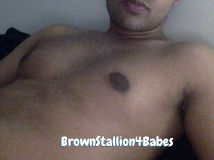 BrownStallion4Babes