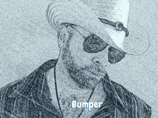 Bumper