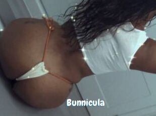 Bunnicula