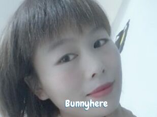 Bunnyhere