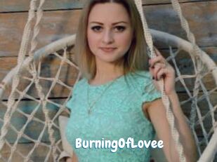 BurningOfLovee