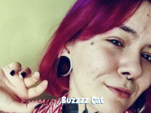Buzzzz_Cat