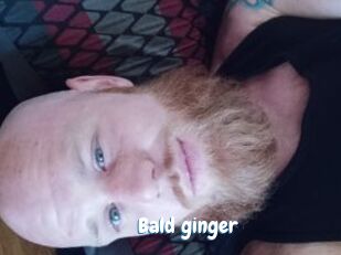 bald_ginger Coquine Avenue