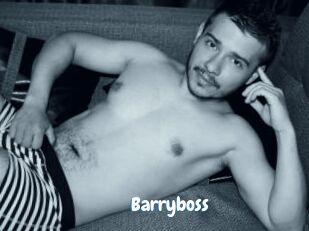 Barryboss