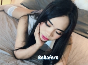 Bellafern