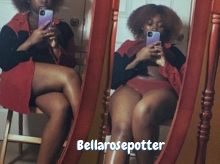 Bellarosepotter