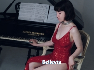bellevia Coquine Avenue