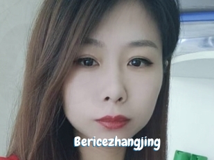 Bericezhangjing