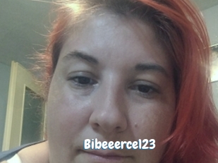 Bibeeerce123