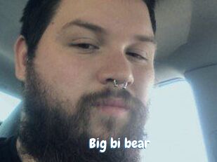 Big_bi_bear