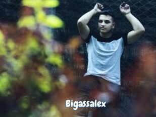 Bigassalex