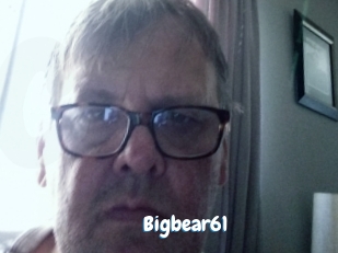 Bigbear61