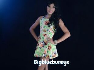 Bigbluebunnyx