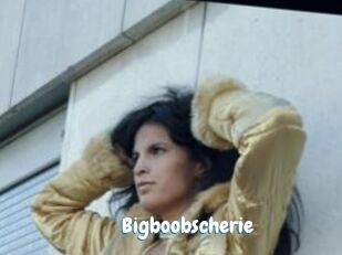 Bigboobscherie
