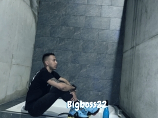 Bigboss22