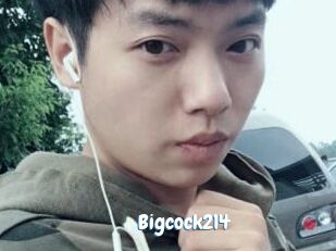 Bigcock214