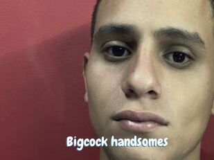 Bigcock_handsomes