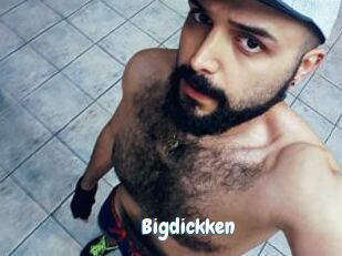 Bigdickken