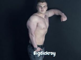 Bigdickroy