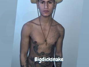 bigdicksnake Coquine Avenue