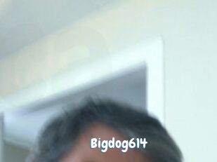 bigdog614 Coquine Avenue