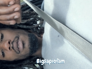 Bigsapiofam