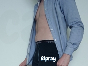 Bipray