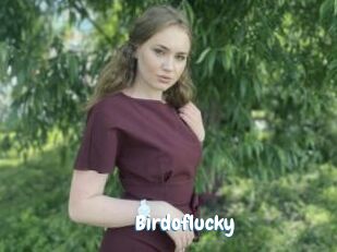 Birdoflucky